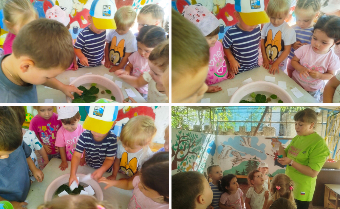 Новости